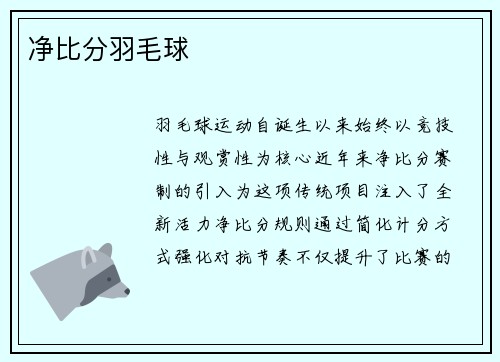 净比分羽毛球