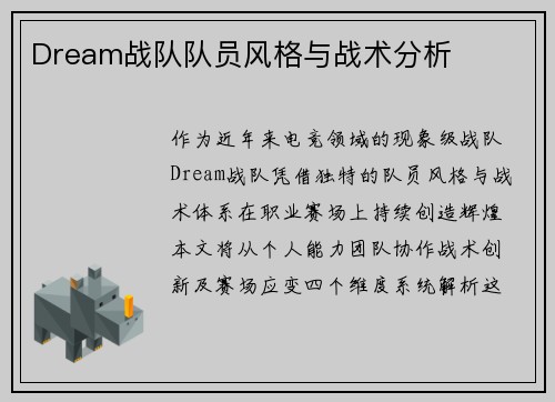 Dream战队队员风格与战术分析